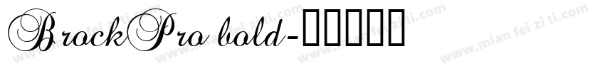 BrockPro bold字体转换